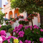 Amadei Blumen بيزارو