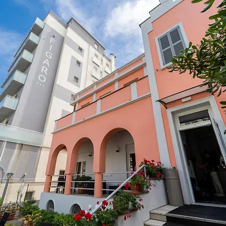 Amadei Blumen Pesaro