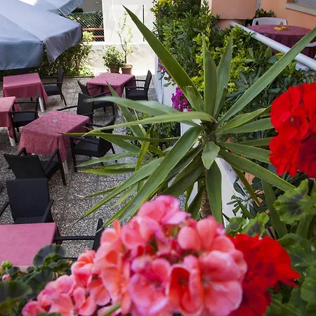 Amadei Blumen 3* Πέζαρο