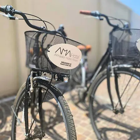 Hotel Amadei Blumen 3*