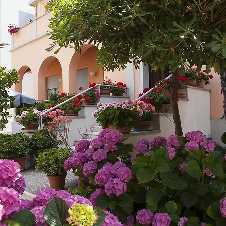 Amadei Blumen Hotel Pesaro