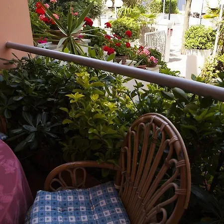 Amadei Blumen Hotel Pesaro