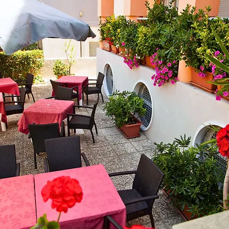Hotel Amadei Blumen Pesaro