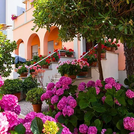 Amadei Blumen Pesaro