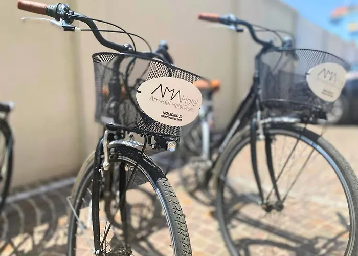 酒店 Amadei Blumen 3*