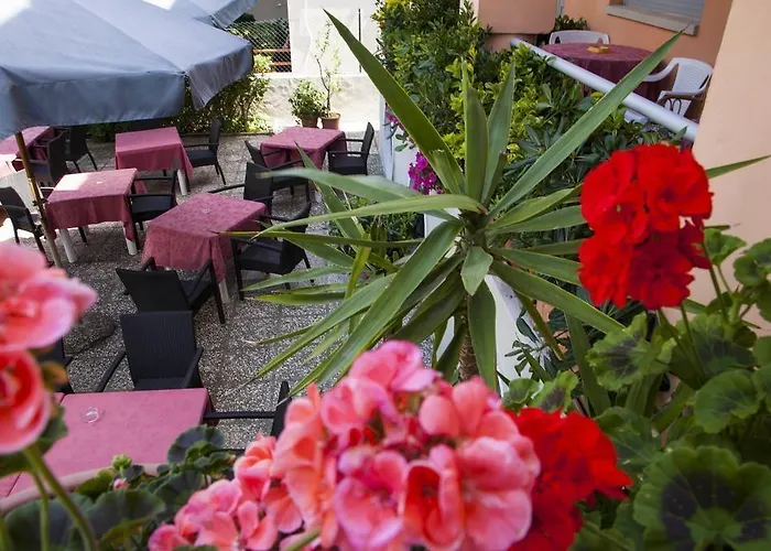 Amadei Blumen 酒店 佩萨罗