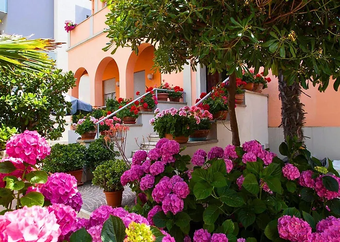 Amadei Blumen Pesaro